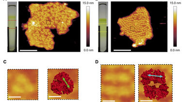 Far-red light acclimation in PSI