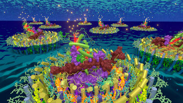 Gemmatimonas phototrophica RC-LH1