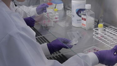 Students doing bioengineering experiment