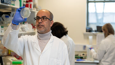 Professor Azzouz working in the lab