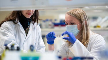 Researchers in the lab