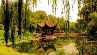 Hugh McDaniel, Taoranting Park - Cultures & Customs 1st