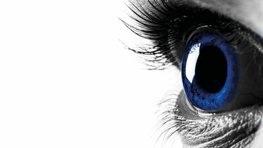 Picture of an eye