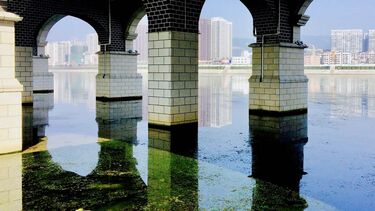 India McKellar, Zhangjiajie Bridge - Artistic Images 2nd