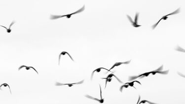 Jiajin Liang, Crowded - Artistic Images 3rd