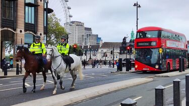 Qixuan Gao, Mounted Branch - Cultures & Customs 3rd