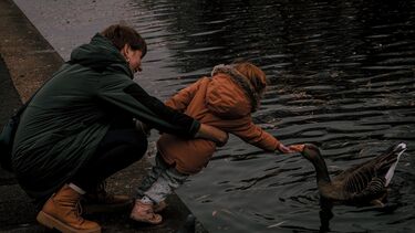 Shangyuan Liu, 爱的传递 (Transmission of Love) - Everyday Life 2nd