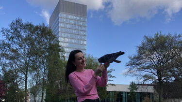 Photograph of Xhuljana feeding a pigeon, next to the pond below the arts tower in Weston Park