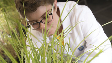 A researcher studying a plant