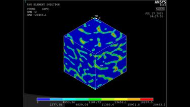 FE model of Bovine Trabecular bone