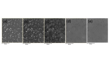 Figure2