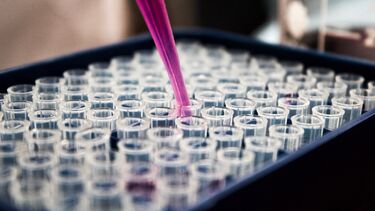 A pipette distributing pink liquid into small vials