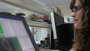 A woman working at a computer