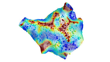 Computational model of electrical activation in the left atrium of the human heart estimated from sparse measurements