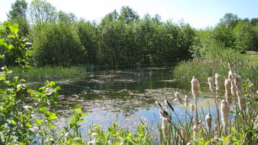 Environmental Fluid Mechanics image