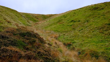 A photo of the sheep-grazed upland grassland at our field site in Plynlimon, Mid Wales