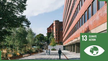 trees and building with sdg13 logo overlaid