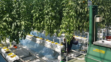 KITECH growing facilities 