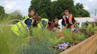 Alex Clarke building his RHS Chatsworth garden