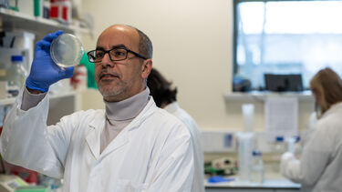 Professor Mimoun Azzouz working in laboratory