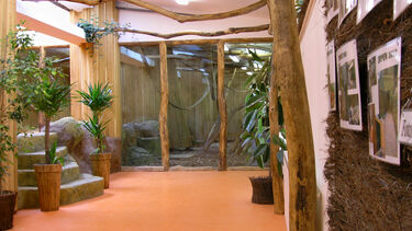 Pavilion of apes in Zoo Brno, Czech Republic
