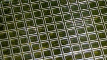 image of a metasurface