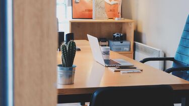 An office. On the desk is a pot plant, pens, a mug and a laptop.