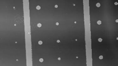 Data from an atomic force microscope