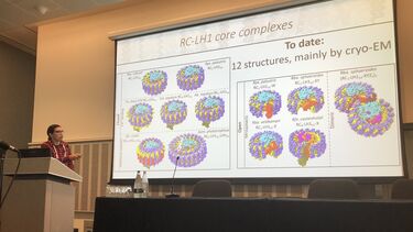 ISPP2022 talk Dave Swainsbury