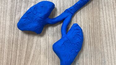 STEM class lung model