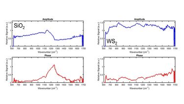 Data from a nano-FTIR experiment