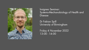 Insigneo Seminar graphic Fabian Spill talk details