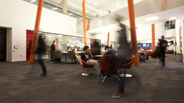 Discover The Diamond