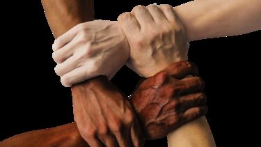 Four people holding hands in solidarity.