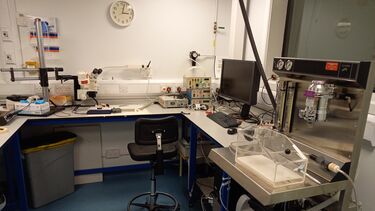 7T surgery / animal preparation room with animal monitoring, mobile anaesthesia and gas delivery system