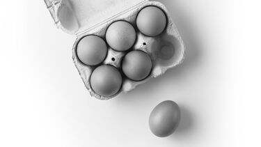 eggs