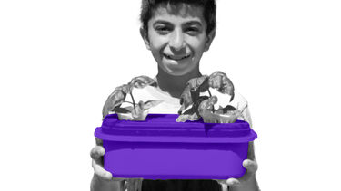 Boy holding basil plant