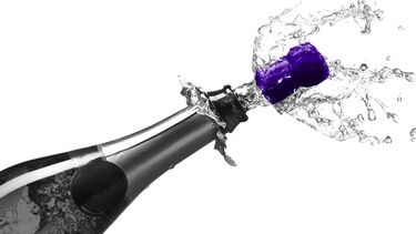 Champagne bottle 