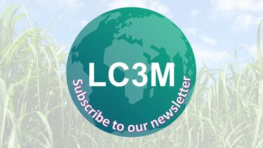 LC3M green globe with centre title on a feint grass background with the text 'subscribe to our newsletter'