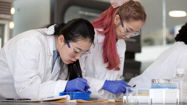 Two researchers at work in a laboratory