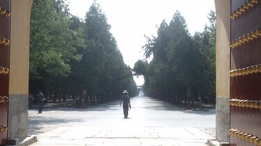Temple of Heaven Gardens - Hugh McDaniel
