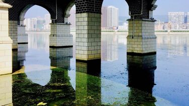 Zhangjiajie Bridge - India McKellar