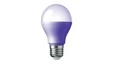 An energy efficient lightbulb.