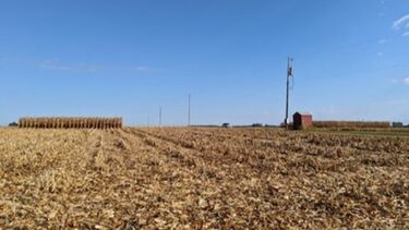 A photo showing the RockFACE field site at harvest time