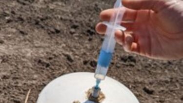 A photo showing syringing during N2O sampling