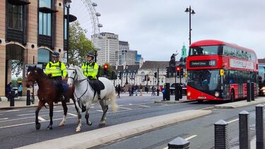Mounted Branch - Qixuan Gao