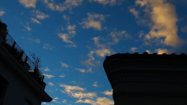 Bego website section B inside