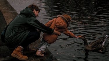 爱的传递 (Transmission of Love) - Shangyuan Liu