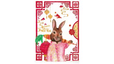 Ved Seelam - First Prize at KS3 - Birkdale School