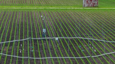 A photo showing one of the enrichment rings at the RockFACE site